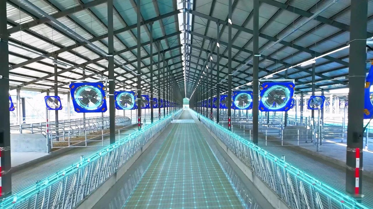 微信图片_20250522151409.jpg